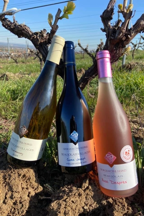 Location salle de réception - Saint-Étienne-des-Oullières