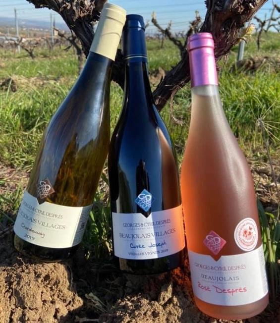 Vignerons Saint-Étienne-des-Oullières