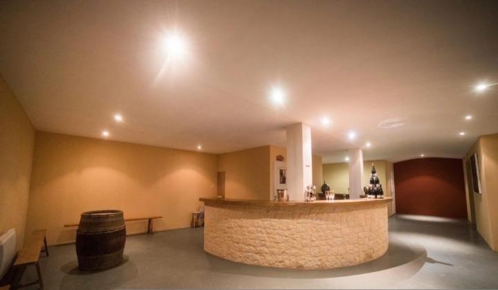 Dégustation de vin Saint-Étienne-des-Oullières