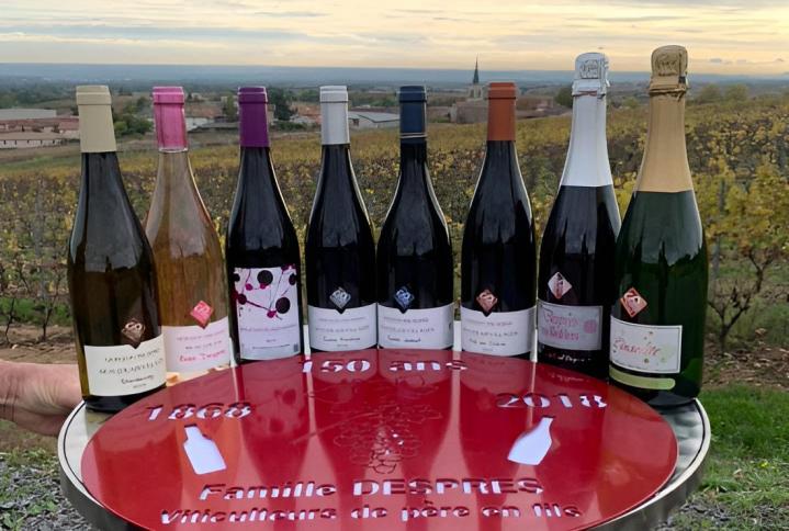 Producteur de vin Saint-Étienne-des-Oullières